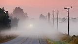 Misty Dawn_14983